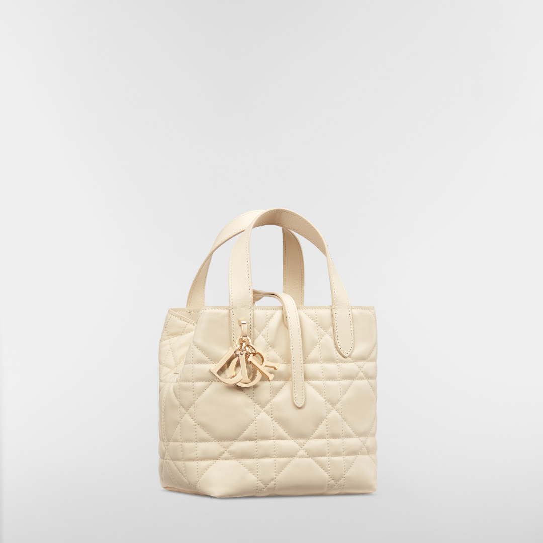 Small thin leather Tote Bag